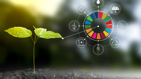 Sostenibilidad Empresarial a través de los ODS y la Agenda 2030